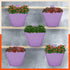 KAI Hanging Oval Planters For Home (Lavender - Set of 5)